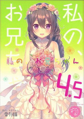 watashi no onii chan 4 5 bangaihen cover