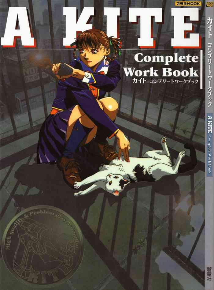 a kite complete work book cover